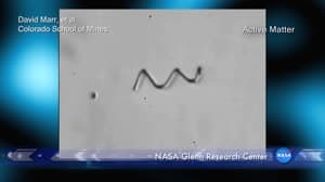 NASA image: Professor Ning Wu on the Study of Giant Colloidal Molecules
