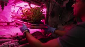 NASA image: NASA Explorers S4 E1: Orbiting Laboratory