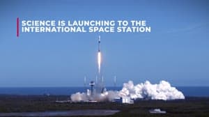 NASA image: Science Launching on Northrop Grumman's 21st Cargo Resupply Mission to the Space Station