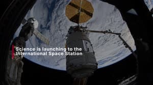 NASA image: Science Launching on Northrop Grumman's 23rd Cargo Resupply Mission to the Space Station 