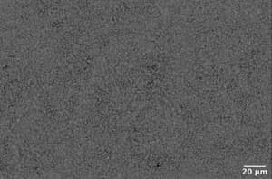 NASA image: jsc2025m000380